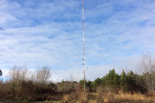 A Cardeilhac dans le Comminges, l'idée de la construction d'un parc éolien ne fait pas l'unanimité. 