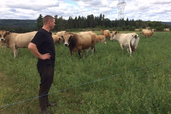 En Haute-Loire, environ 400 agriculteurs sont concernés par les retards de versements des aides agro-environnementales 2015 et jusqu'à 800 pour les aides 2016.