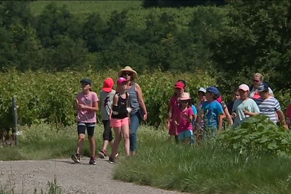 De la classe aux champs : leçon de choses dans la nature.