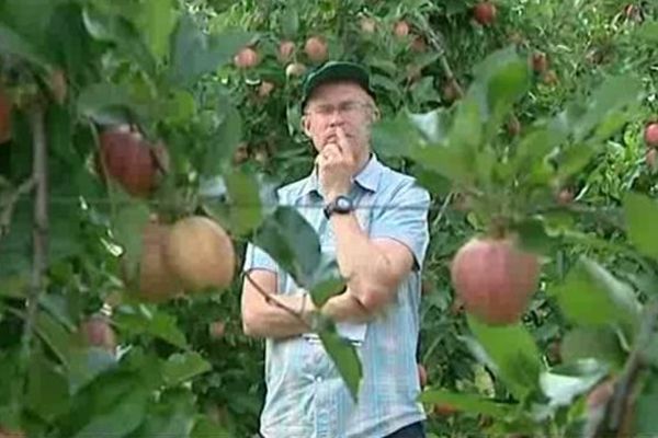 Réflexion croisées sur les pommes : leurs productions, leurs traitements, leurs goûts...