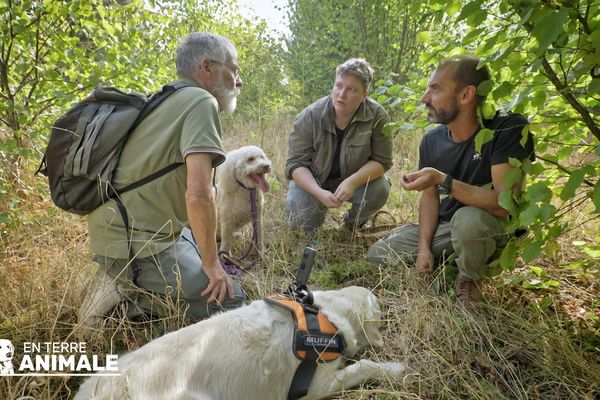 Patrick Dequeant, Marion Guelaud et Franck Menestret échangent autour des conditions idéales pour que la truffe s'épanouisse. Muffin et Mia sont également attentives.