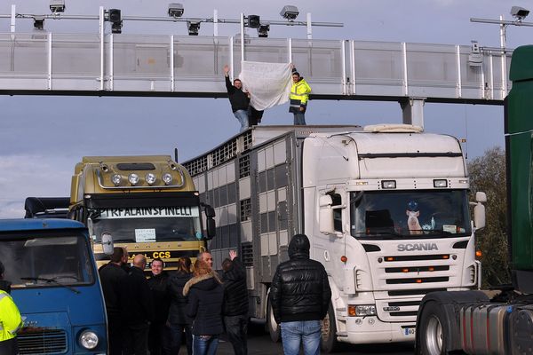 Manifestation contre l'écotaxe sur l'A25 le 9 novembre dernier. 