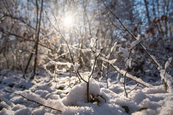 Attention aux gelées fréquentes sur des sols enneigés. 