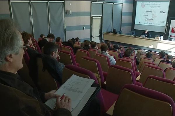 Les 14 et 15 février derniers, l’Université de Pau et des pays de l’Adour accueillait les premières Assises de la langue occitane organisées par le Med’Òc, le mouvement des étudiants d’Occitanie de Pau. 