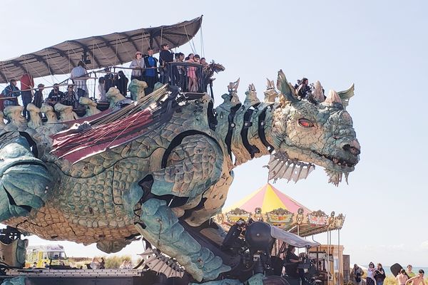 Un dragon de Calais sous le soleil.