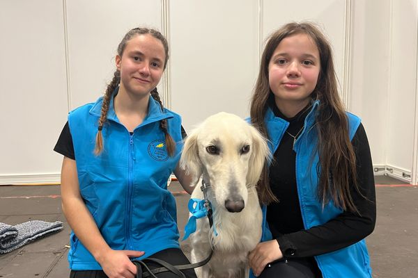 Guillemette et Roxane, élèves en terminale au lycée agricole de Montmorillon, entourent O Karun du Soleil Vert, un lévrier persan de 5 ans.