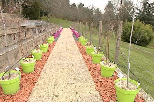 Un pollinarium sentinelle pour la Creuse