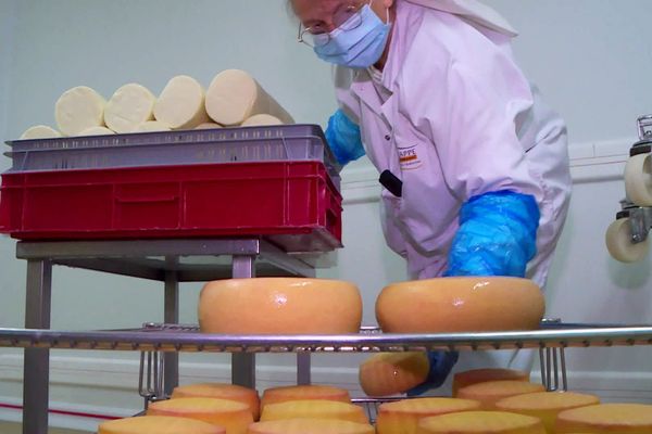 Depuis 150 ans les sœurs d'Échourgnac fabriquent ce fromage à la liqueur de noix