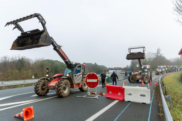 À l'appel des Jeunes agriculteurs et de la FNSEA, des exploitants agricoles bloquent l'autoroute A10, à Poitiers, jeudi 25 janvier 2024.