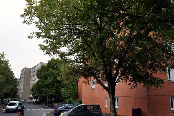 Le quartier de Cantepau à Albi est souvent le théâtre de tensions entre habitants et policiers. 