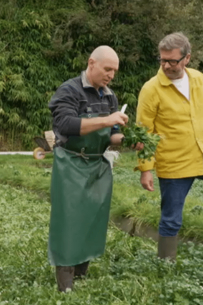 Yvan dans le champ de cresson de Mickaël avec salarié Théo (à gauche)