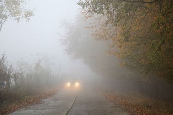 Attention aux brouillards, la visibilité est réduite ! 