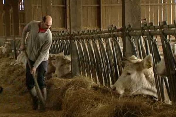 Albéric Mathieu dans sa ferme à Bonneuil-Matours (86)