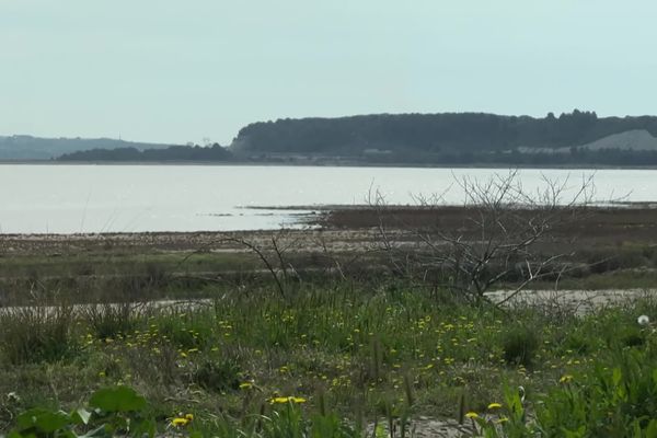 Les étangs Lavalduc et l'Engrenier devaient être déclassés pour permettre le projet de 500 hectares de panneaux photovilatique porté par la société Geosel.