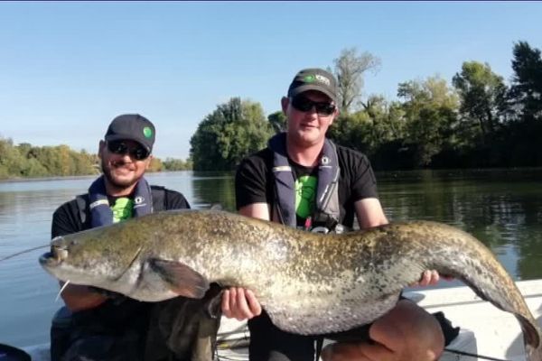 La silure pêché samedi par la Team Zeck fishing France.