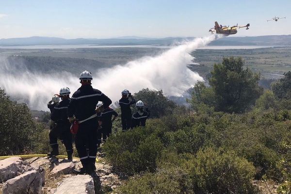 Un incendie a ravagé plus de cinq hectares de pinède dans le massif de La Clape, dans l'Aude -20 août 2018