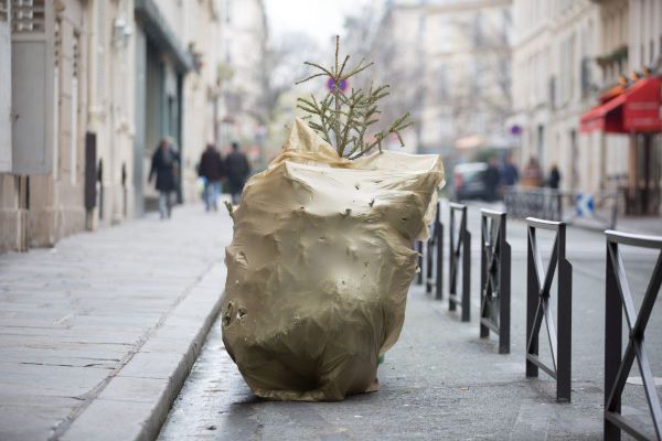 On ne se débarrasse pas n'importe où de son sapin de Noël.