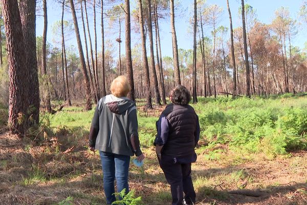 Ces deux voisines, toutes deux propriétaires de parcelles brûlées à Landiras, n'ont pas les moyens de replanter