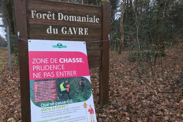 En forêt domaniale du Gâvre, mars 2021