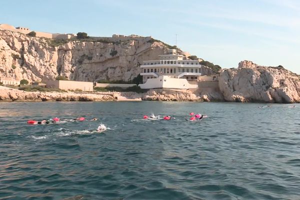 70 nageurs se sont élancés, ce samedi 27 mai pour une randonnée écologique autour des îles du Frioul.