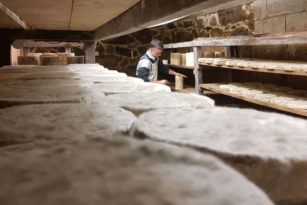 Avant de devenir producteur de fourme d'Ambert, à Valcivières,  dans le Puy-de-Dôme, Antoine de Boismenu a été, pendant plus de 15 ans, cadre d'entreprise et conseiller juridique.  Un jour, il décide de changer de vie. Portrait. 