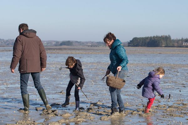 La pêche à pied est-elle autorisée pendant le confinement ? 