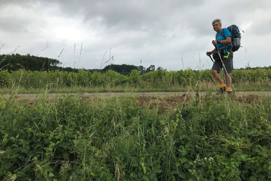 Yannick, 68, left on foot for Mont Saint-Michel, he wants to beat the cancer that is eating away at him