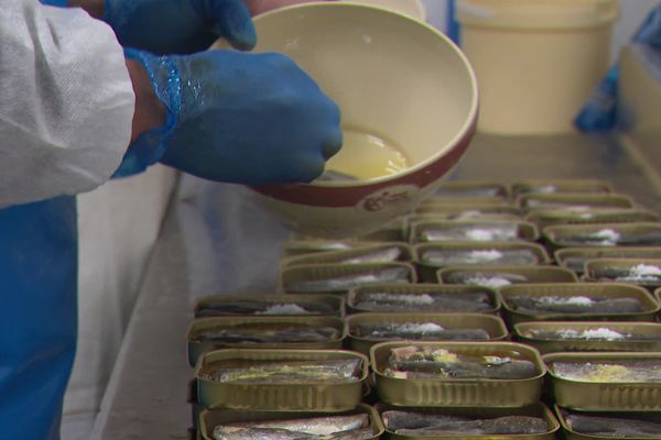 Dans l'Aude, une entreprise commercialise dans plus de 300 points de vente à travers le monde des petites truites qui viennent concurrencer les sardines, victimes de surpêche.