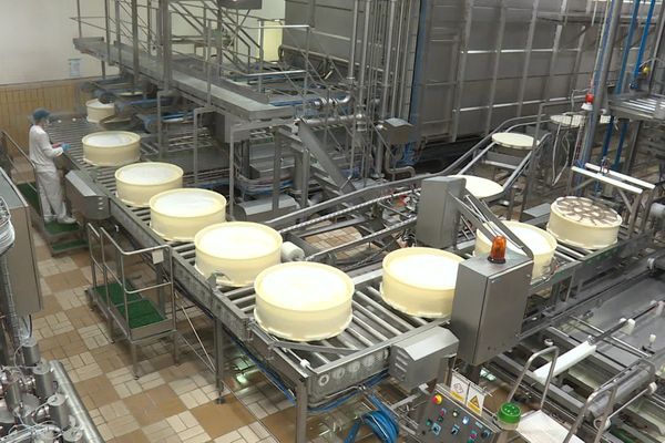 Plusieurs manquements sanitaires ont été repérés dans différentes usines Lactalis en France.