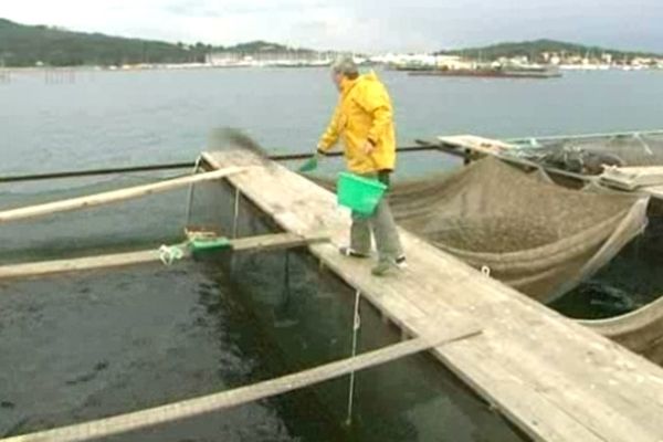 Un aquaculteur du var