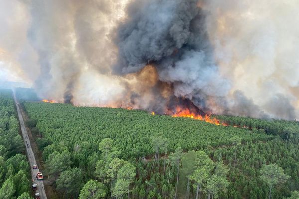 Le feu attisé par les flammes dans le secteur de Saumos entre Bordeaux et l'océan, dans la forêt de pins du sud Médoc. Bilan à la mi-journée : 1800 hectares