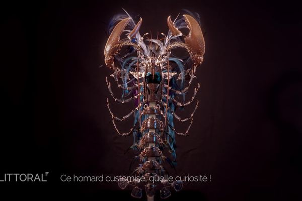 Un "éclaté" de homard, l'une des pièces favorites de William Dubourg