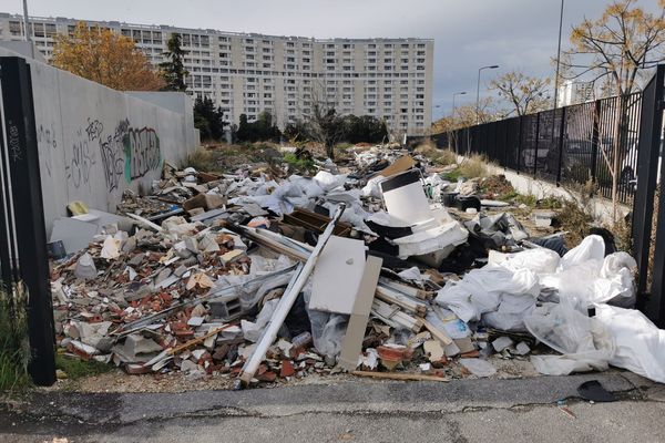 Des entreprises peu scrupuleuses déversent leurs déchets professionnels en toute illégalité.