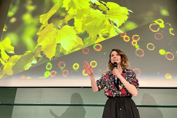 Anne Cousin, doctorante à l’Institut de Biologie Moléculaire des Plantes, remporte la finale alsacienne du concours Ma thèse en 180 secondes.