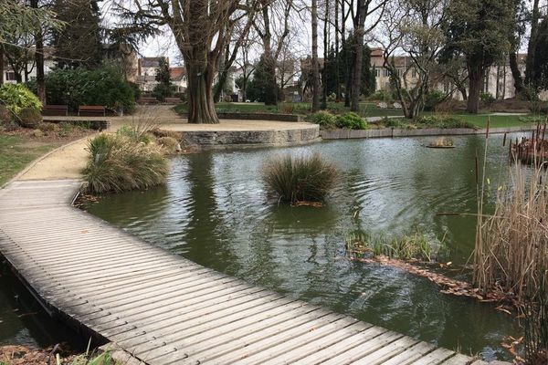 C'est dans ce bassin qu'a été trouvé le corps sans vie d'un homme ce samedi 4 mars.