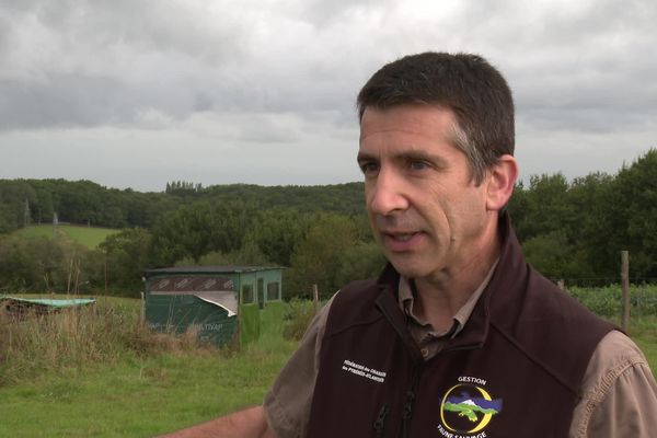 Christian Peboscq, directeur de la Fédération départementale des chasseurs 64, refuse de participer à la régulation des sangliers en ville.