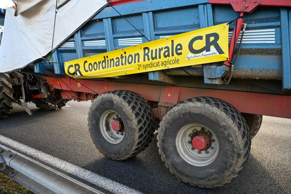 Des membres de la Corrdination rurale veulent manifester leur oppostion au Mercosur en manifestant à Paris.