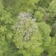 L'arboretum de Saint-Setiers, en Corrèze, labéllisé jardin remarquable : un plaisir pour tous les sens !