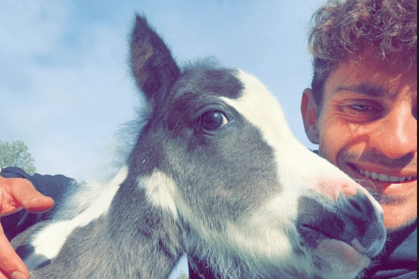 Rémi Giraud, éleveur dans les Hautes-Alpes espère toujours retrouver son jeune poulain volé début le 2 août à Serre Chevalier.