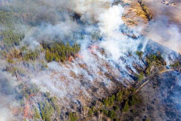 Une vue aérienne de l'incendie dans une forêt située dans la zone d'exclusion de Tchernobyl le 12 avril 2020 