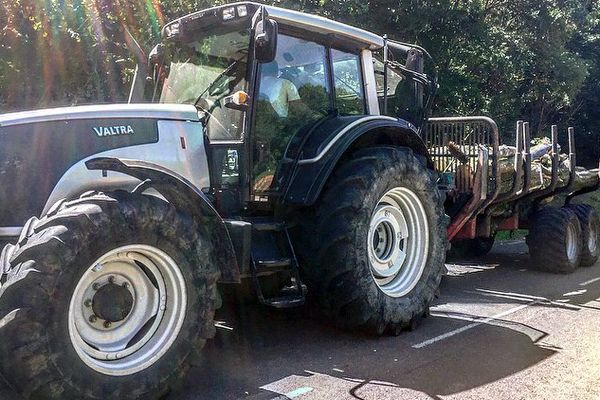 Les autorités ont autorisé l'abattage d'arbres pour sécuriser une route du Tour de France