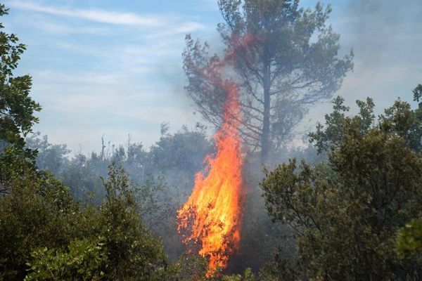 À Artigues (Var), ce 27 juillet 2017. 