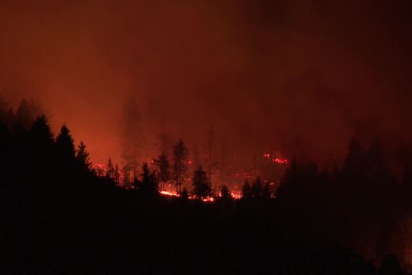 Incendie à Le Ménil dans les Vosges le 12 août 2022