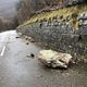 L'un des éboulements sur la RD21 entre Tenay et Hauteville, dans l'Ain, ce mercredi 8 janvier.