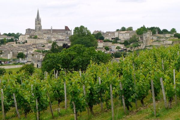 Saint-Emilion et ses vignes