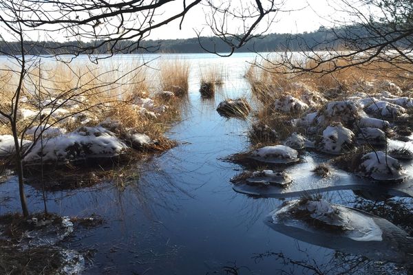 Soleil d'hiver sur le lac de Paimpont