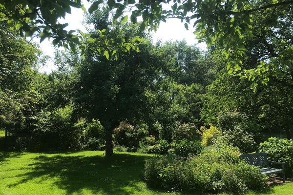 En Alsace, l'association des Jardins et Vergers de l'Outre-Forêt, par exemple, achète et livre les arbres pour les communes qui désirent planter des arbres dans le nord de la région