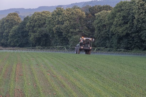 La proposition de loi, qui a de fortes chances d’être votée en première lecture au Sénat, permettrait de rendre plus difficiles les interdictions d'utilisation de pesticides