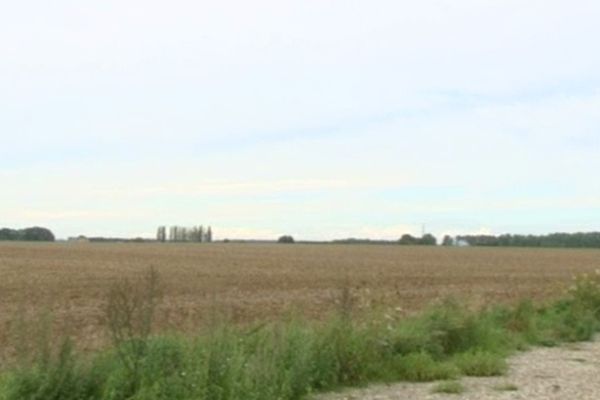 La ferme est prévu à cet emplacement, sur les communes de Bugny-St-Maclou et Drucat-le-Plessiel