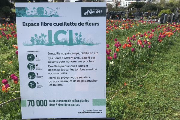 Des fleurs à cueillir dans plusieurs cimetières de Nantes, dont, ici, celui de la Bouteillerie.